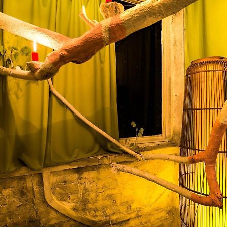Dao Anh Khanh Tree House Ханой Экстерьер фото