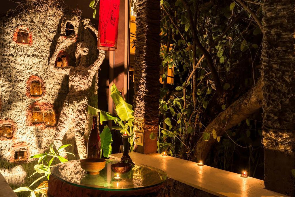 Dao Anh Khanh Tree House Ханой Экстерьер фото