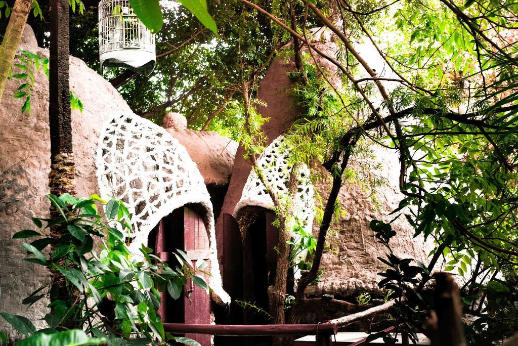 Dao Anh Khanh Tree House Ханой Экстерьер фото