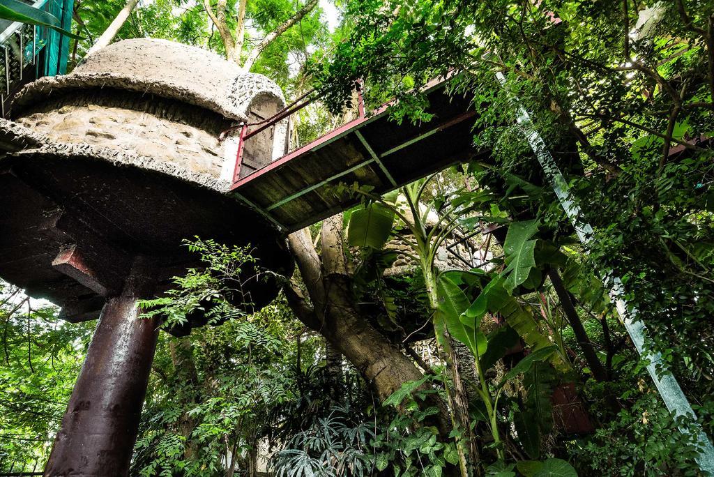 Dao Anh Khanh Tree House Ханой Экстерьер фото