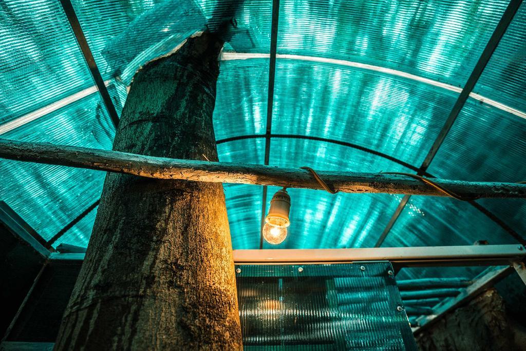 Dao Anh Khanh Tree House Ханой Экстерьер фото