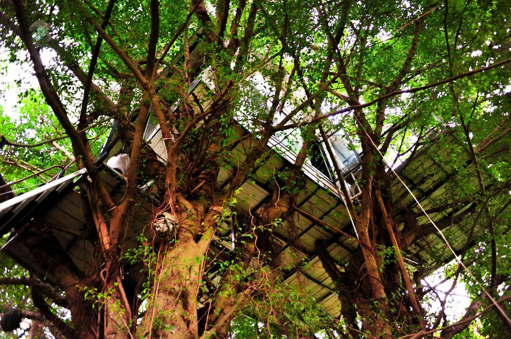 Dao Anh Khanh Tree House Ханой Экстерьер фото