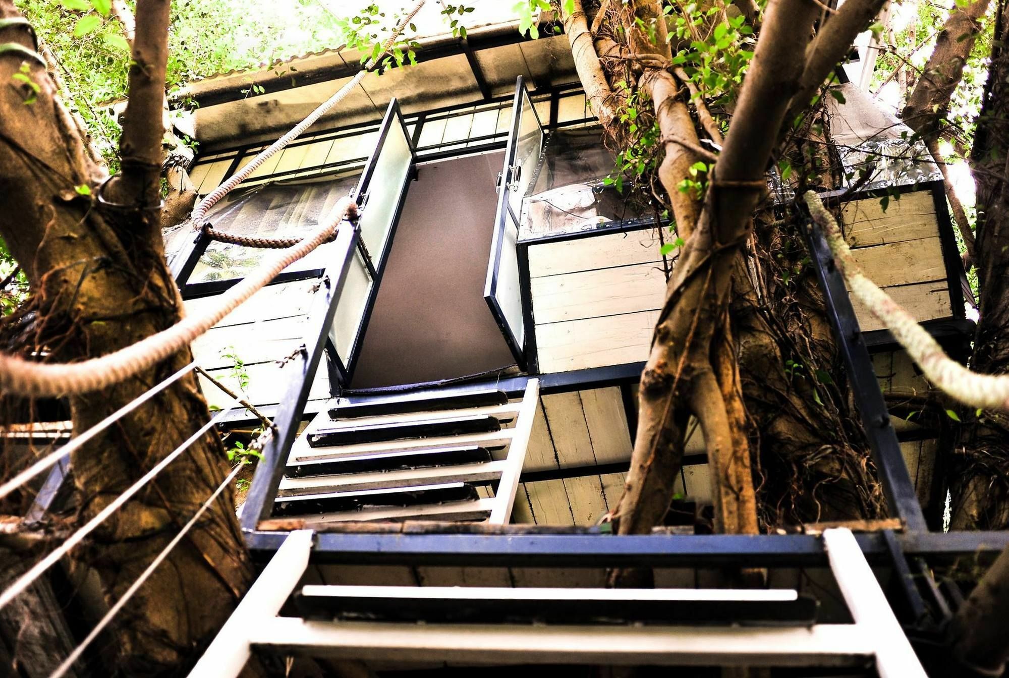Dao Anh Khanh Tree House Ханой Экстерьер фото